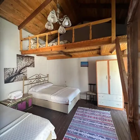 Pergamon 호텔 베르가마